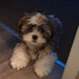 Meet your Posher, Beverly